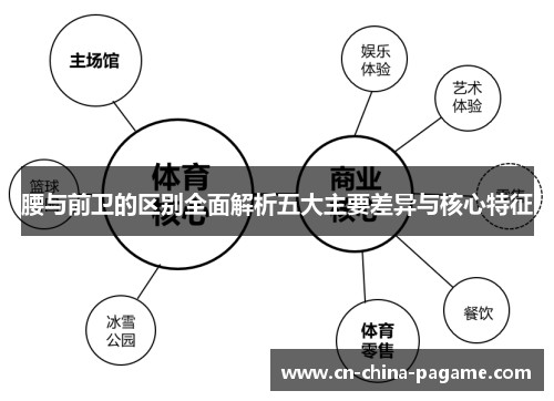 腰与前卫的区别全面解析五大主要差异与核心特征 腰与前卫的区别全面解析五大主要差异与核心特征
